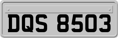 DQS8503