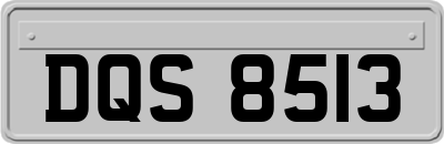 DQS8513