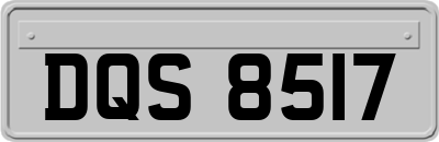 DQS8517