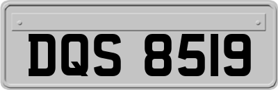 DQS8519