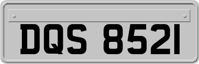 DQS8521