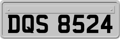 DQS8524