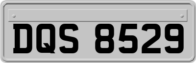 DQS8529