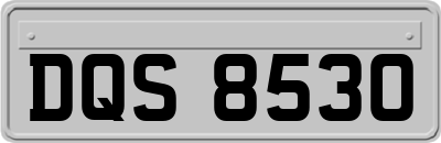 DQS8530
