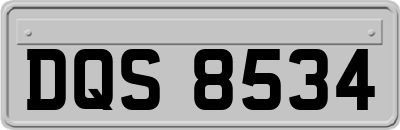 DQS8534