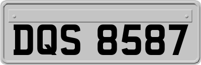 DQS8587