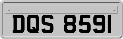 DQS8591