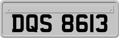 DQS8613
