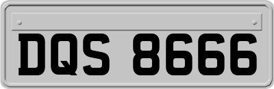 DQS8666
