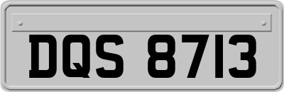 DQS8713