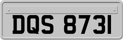 DQS8731