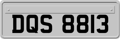 DQS8813
