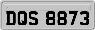 DQS8873