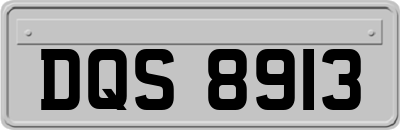 DQS8913