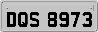 DQS8973