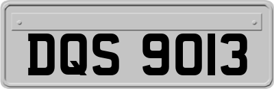 DQS9013