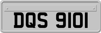 DQS9101