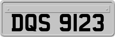 DQS9123