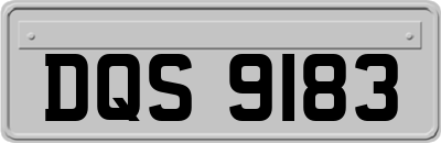 DQS9183