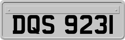 DQS9231