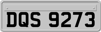 DQS9273