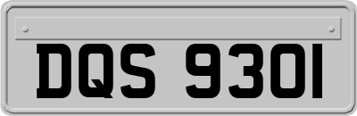 DQS9301