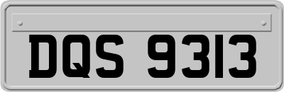 DQS9313