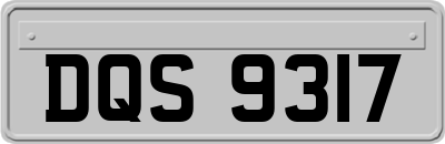 DQS9317