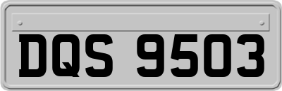 DQS9503