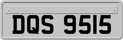 DQS9515