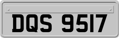 DQS9517