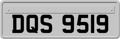 DQS9519