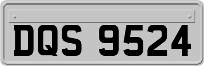 DQS9524