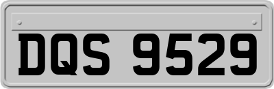 DQS9529