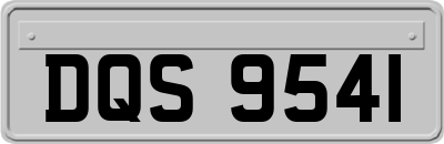 DQS9541