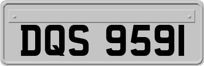 DQS9591