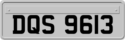 DQS9613