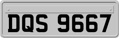DQS9667