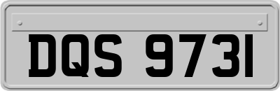 DQS9731