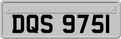 DQS9751