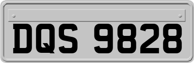 DQS9828