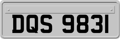 DQS9831
