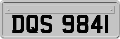 DQS9841