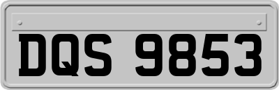 DQS9853