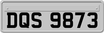DQS9873