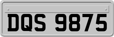DQS9875