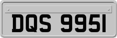 DQS9951