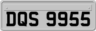 DQS9955