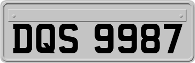 DQS9987