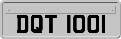 DQT1001